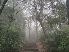 -梧桐山风景名胜区