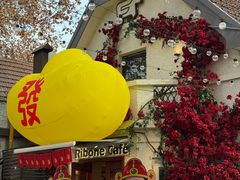 -弗兰克牛排西餐厅Ribone steak house(柠檬花园店)