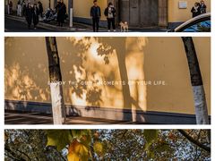 -颐和路民国时期公馆-风貌区