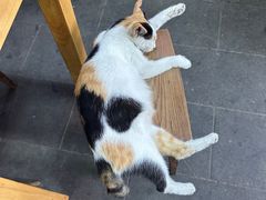 -七姐面馆