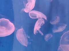 -石林冰雪海洋世界