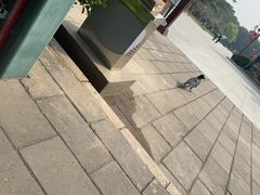 -北京市劳动人民文化宫(太庙)