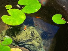 -31号公馆(黄兴广场白果园店)