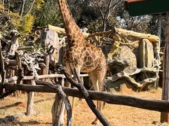 -云南野生动物园
