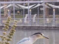 -苏州河梦清园环保主题公园