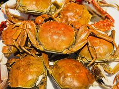 -半岛听涛蒸汽海鲜自助(K11店)