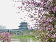 -海珠湖公园