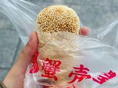 -江南蟹壳皇(新民桥店)
