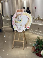 -白金汉爵大酒店·宴会厅(相城店)