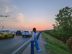 -合肥滨湖国家森林公园