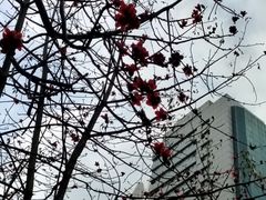 -东门町美食街