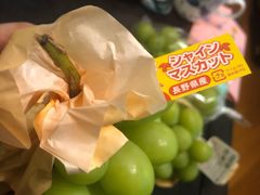 -油麻地果栏