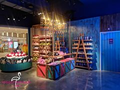 -沈阳海洋探索中心