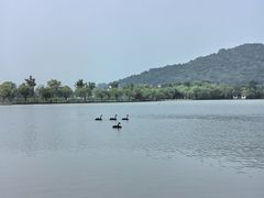 -南北湖风景区