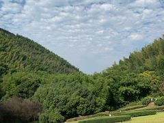 -镇江市南山风景名胜区竹林景区