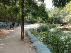 -白水寺森林公园
