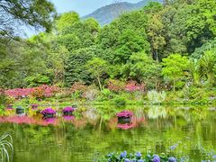 -梧桐山风景名胜区