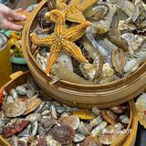 来青岛旅游想吃新鲜海鲜看过来！！