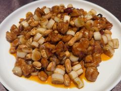 宫保鸡丁-亦海人家烤鸭店(康定街店)