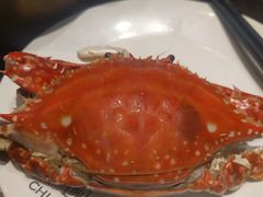 -川骄海鲜自助(河东店)