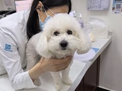 -美联众合动物医院·24h转诊中心