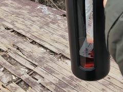 -北仑森林植物园