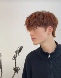 -YESIDO椰岛造型