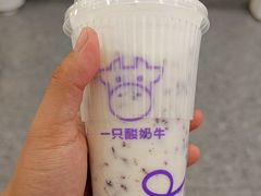 -一只酸奶牛(洪崖洞11楼店)