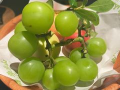 -季季山·云南野生菌火锅(上海首店)