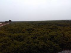 -北海金海湾红树林生态旅游区