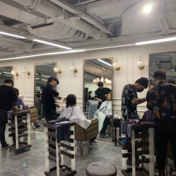 -MYCOLORHARSALON