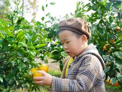 -前小桔亲子创意农场·草莓采摘·露营烧烤