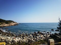 -广东惠东海龟国家级自然保护区