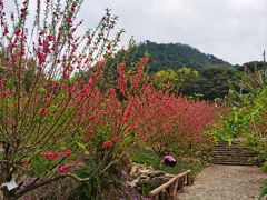 -广州市石门国家森林公园