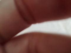 -怪怪龙虾·澳洲蓝龙上新(惊驾路店)