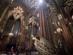-斯蒂芬主教座堂(Stephansdom)