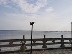 -大连林阳酒店