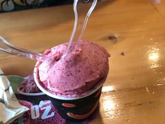 -野人牧坊Gelato(天津南开大悦城店)
