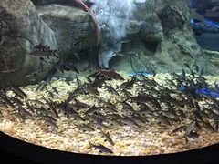 -成都浩海立方海洋公园