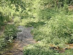 -白水寺森林公园