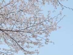 -幕燕滨江·燕子矶公园