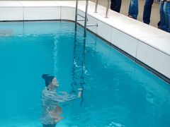 -金泽21世纪美术馆