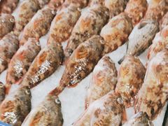 -大锅强·蒸海鲜青岛菜(吾悦广场店)