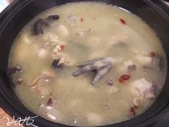 野生羊肚菌炖鸡-紫滇源云南生态菜(丹凤街店)
