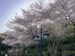 -苏州上方山国家森林公园