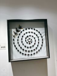 -酷嗒动物文化乐园(cutezoo西溪乐天城店)