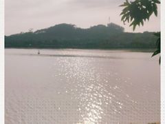 -鹤之洲湿地公园