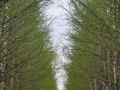 -嘉北郊野公园
