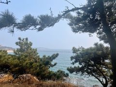 -八大关景区