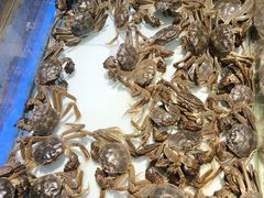 -鼎香缘海鲜自助火锅烤肉(锦辉购物广场店)